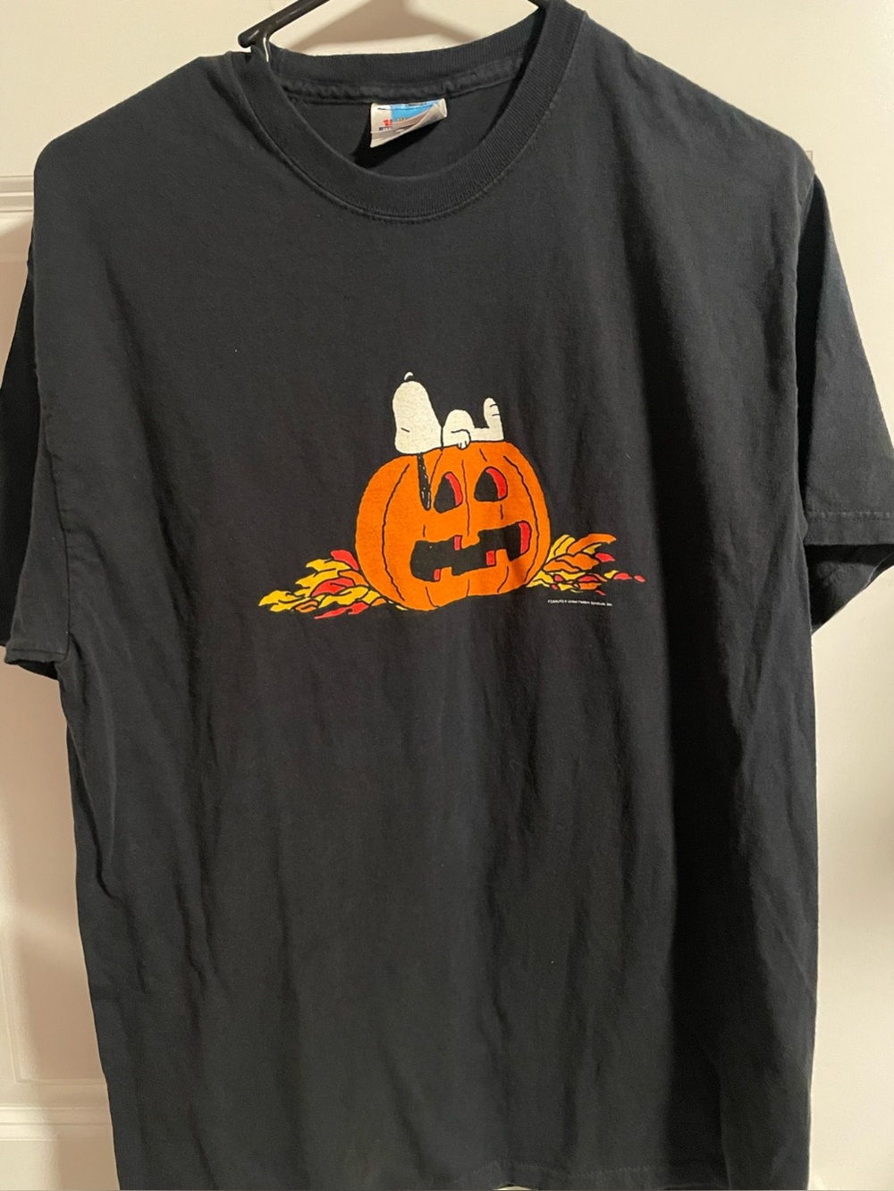 Peanuts snoopy halloween t-shirt